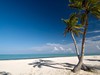 IBEROSTAR DOMINICANA  5*****   
  