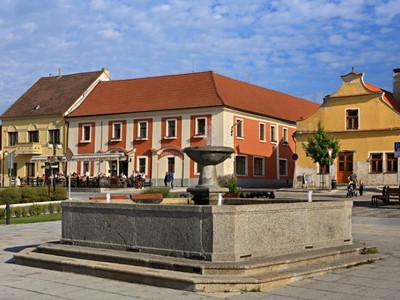 Bechyně, Hotel Panská - Senior 50