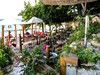Golden Coast Beach hotel (13)