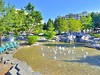 Aquapark