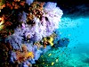 SUN SIYAM VILU REEF 4*