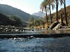 THE COVE ROTANA RESORT 5*