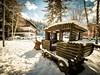 Hotel Casa Alpina