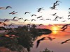 TRYP CAYO COCO 4****