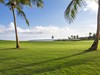 BAVARO GREEN 3***