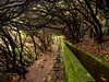 Madeira, místa známá i neznámá - trekking #2