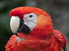 ALLEGRO PLAYACAR 4**** (RIVIERA MAYA)