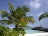 COCOA ISLAND BY COMO 5*****