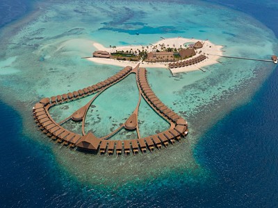 Cinnamon Velifushi