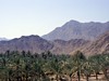DOUBLETREE BY HILTON RESORT AND SPA MARJAN ISLAND 5*