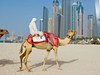 GRAND HYATT DUBAI    5*