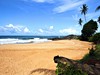 TEMPLE TREE RESORT AND SPA 4****