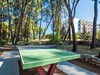 356 table tennis