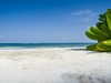 ALLEGRO PLAYACAR 4**** (RIVIERA MAYA)