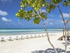 HAVANA / CAYO COCO   (MELIA HABANA 5*/MELIA JARDINES DEL RAY 5*)