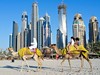 CARLTON TOWER HOTEL 4*