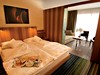 Hotel Lac Salin Spa & Mountain Resort