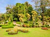 Srí Lanka - Královské botanické zahrady Peradeniya (Dreamstime)