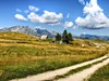 Výhled na Durmitor