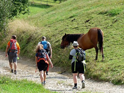 Transylvánie