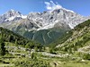 Ortler
