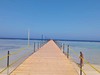 ALEXANDER THE GREAT RESORT #3