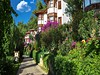 Club & Hotel Letoonia #2