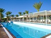 Palm Azur  #4