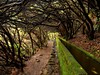 Madeira, místa známá i neznámá - trekking #2
