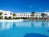Palm Azur  #3