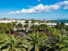Relaxia Olivina #4