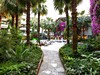 BIENO VENUS HOTEL & SPA #4