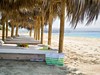 Asterias Beach #4