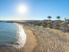 Sea Star Beau Rivage #3
