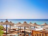 Dive Inn Resort  #4