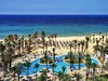 Riadh Palms #4