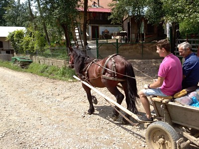 Rumunské hory s koňským povozem