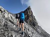 Ortler