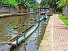 Srí Lanka - Hamiltonův kanál, Negombo (Dreamstime)