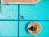 Akron Seascape Resort #2
