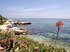 Hersonissos Maris #5