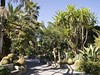 Park Hotel Terme Mediterraneo #5