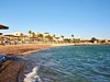 Sea Star Beau Rivage #2