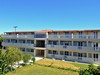 Tassia #4