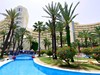 Riadh Palms #3