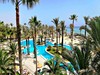 Riadh Palms #5