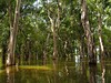 Tonle Sap