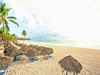 Tropical Deluxe Princess #4