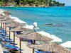 Dolphin Beach #2