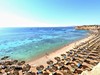 Reef Oasis Beach Resort #2